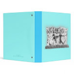 Pussy Cats binders