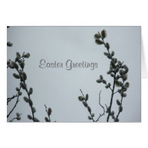 Pussy Willow Easter Card