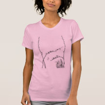 Pussy Willow Kittens and Mother Cat T-shirts