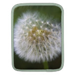 Pusteblume Sleeve Für iPads