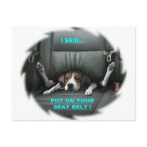 PUT ON YOUR SEAT BELT