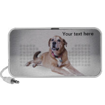 Put your dog on a doodle laptop speaker