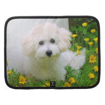 Put Your Photo On A Folio Planner