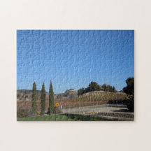 Puzzle: Aron Hill Vineyards after Frosts