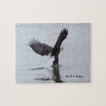 Puzzle/ eagle appears to be walking on water.