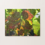 Puzzle - Red grape leaf on vine puzzles