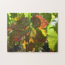 Puzzle - Red grape leaf on vine