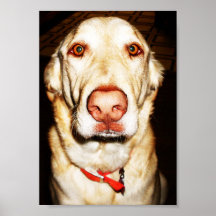 Pweeeeeeeeesss! Print