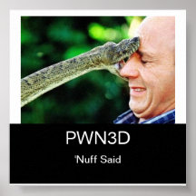 PWN3D poster