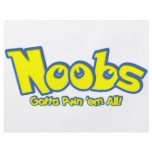 Pwn Noobs flyers