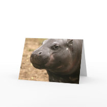 Pygmy Hippo Greeting Card