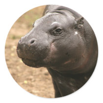 Pygmy Hippo Sticker