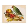 Pygmy Parrot With Fruit and Nuts Post Card