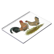 Pyncheon Bantams Spiral Note Books