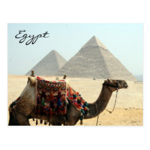 pyramide de l'Egypte de chameau Carte Postale