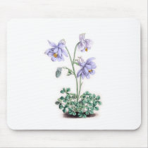 Pyrenees Columbine - Aquilegia pyrenaica Mouse Pads