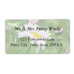 Pyrethrum Daisies -  Tanacetum coccineum Custom Shipping Label