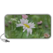 Pyrethrum Daisies -  Tanacetum coccineum Laptop Speakers