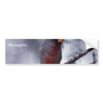 Pyrrhuloxia Bumper Stickers