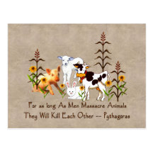 Pythagoras Vegetarian quote Postcard