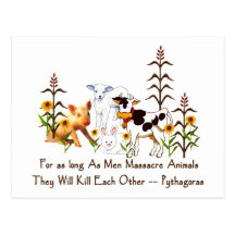 Pythagoras Vegetarian quote Postcard