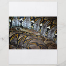 Python photo personalized flyer