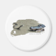 Python vs Alligator 01 Refrigerator Magnet