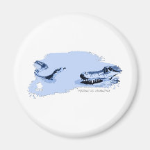 Python vs Alligator Blue 01 Fridge Magnets