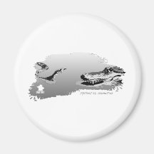 Python vs Alligator grey 01 Refrigerator Magnet