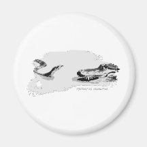 Python vs Alligator grey 02 Fridge Magnet