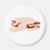 Python vs Alligator orange 01 Fridge Magnets