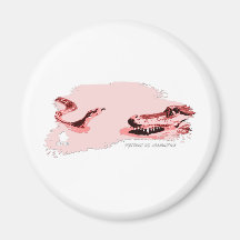 Python vs Alligator red 01 Fridge Magnet