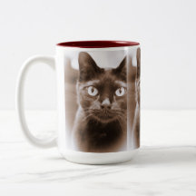 Pywacket Potrait I Mug