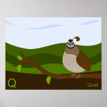 Q for Quail Poster
