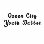 QCYB Embroidered Top embroidered shirts