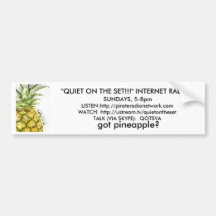 QOTS Bumper Sticker