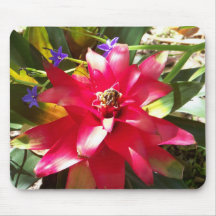 Quail Botanical Gardens034 Mouse Mats