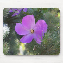 Quail Botanical Gardens039 Mouse Pad