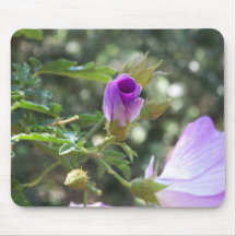 Quail Botanical Gardens041 Mouse Pads