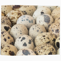 Quail Eggs 3 Ring Binders