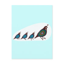 Quail