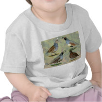 Quail Quartet Tshirt