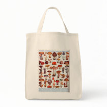 Quaint and Curious Toadstools Canvas Bag