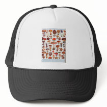 Quaint and Curious Toadstools Mesh Hat