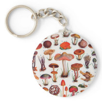 Quaint and Curious Toadstools Key Chains