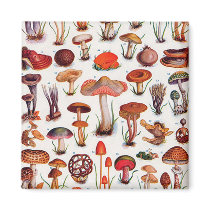 Quaint and Curious Toadstools Fridge Magnets