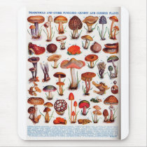 Quaint and Curious Toadstools Mousepad