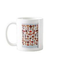 Quaint and Curious Toadstools Mug