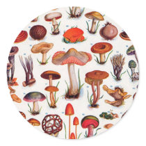 Quaint and Curious Toadstools Sticker