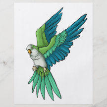 Quaker Parrot Products Flyer